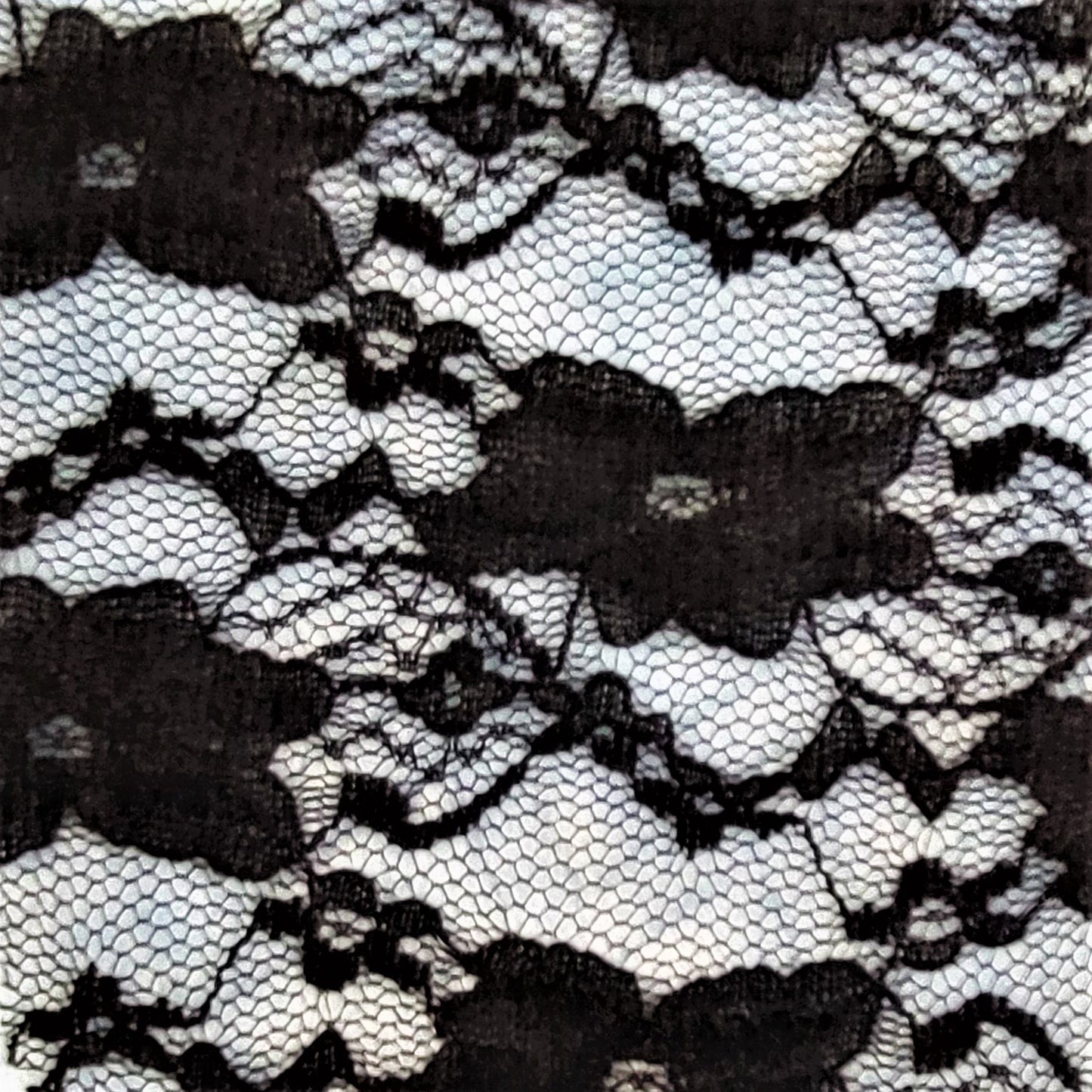 B195 Lace Boy Short